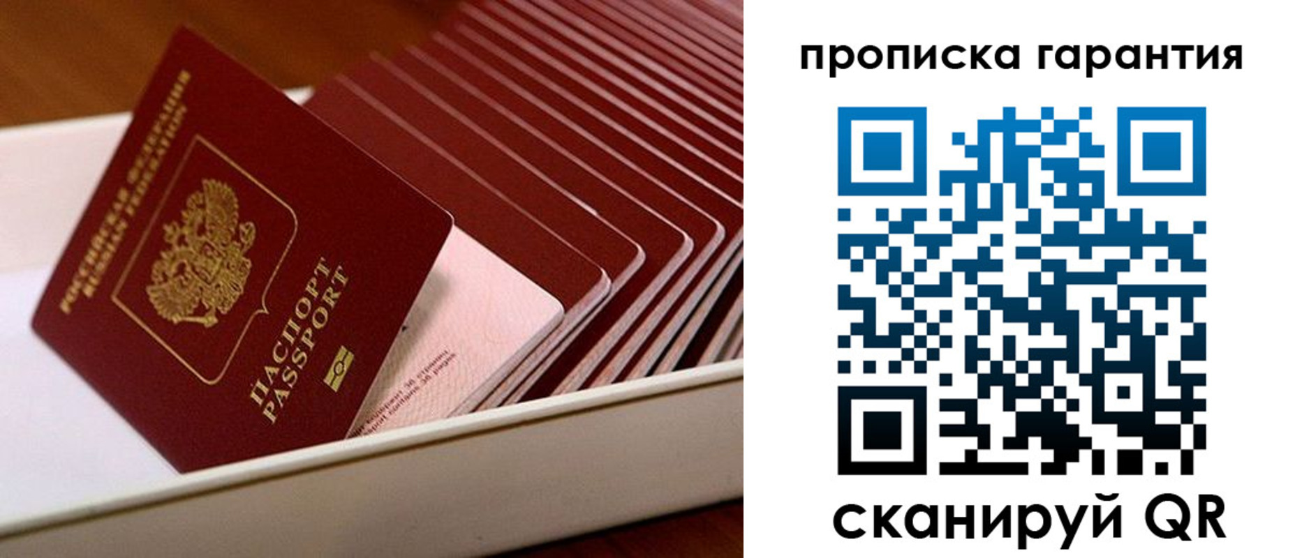 прописка поиск в Пензенской области